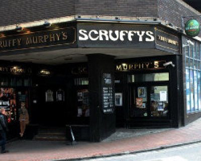 Scruffy Murphys