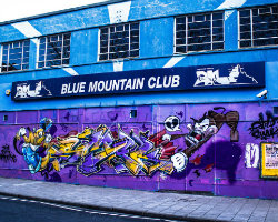 Blue Mountain Club venue image