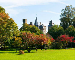 Coopers Field venue image