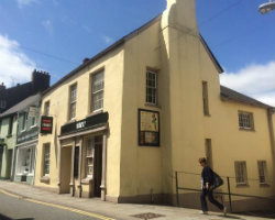 Parrot venue image