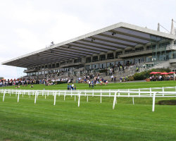 Sandown Park Racecourse venue image