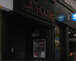 Cathouse venue image