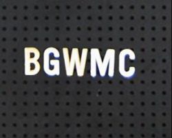 Bethnal Green Working Mens Club venue image