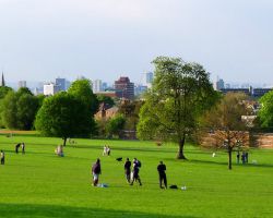 Brockwell Park venue image