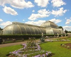 Royal Botanic Gardens venue image