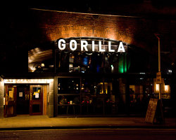 Gorilla venue image