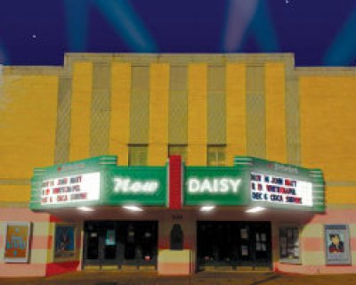 New Daisy