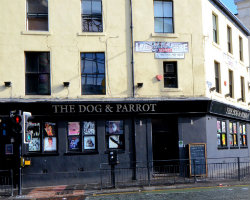 Dog and Parrot venue image