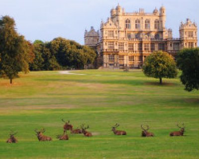 Wollaton Park