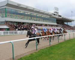 Racecourse venue image
