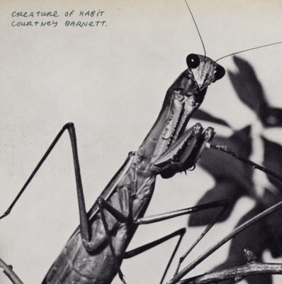 Courtney Barnett - Creature of Habit (Album Review) thumbnail