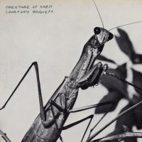 Courtney Barnett - Creature of Habit (Album Review) review image