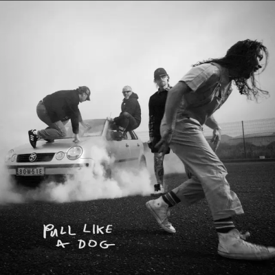 The Scratch - Pull Like a Dog (Album Review) thumbnail