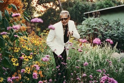 Jeff Goldblum Adds New UK & Ireland Dates To The Night Blooms World Tour thumbnail