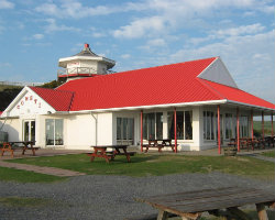 Y Consti venue image
