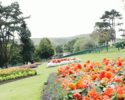 Falls Park venue image