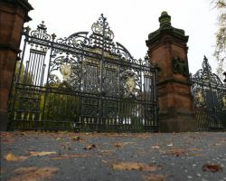 Ormeau Park venue image