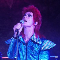 Absolute Bowie artist image