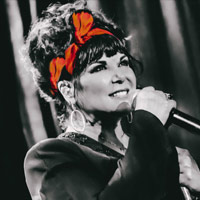 Ann Wilson artist image