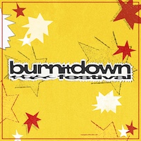 Burn It Down Festival festival image