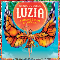 Cirque Du Soleil Luzia artist image