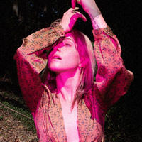 Hayley Williams artist image