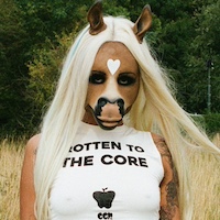 Horsegiirl tour image