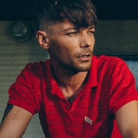 Louis Tomlinson artist image