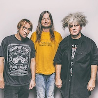 Melvins artist image
