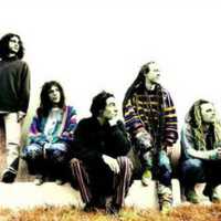 Ozric Tentacles artist image