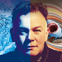 Stewart Lee artist image