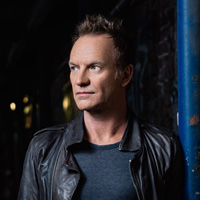 Sting artist image