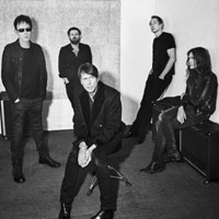 Suede artist image