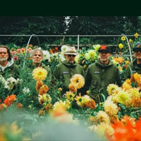 Super Furry Animals