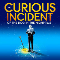 The Curious Incident of the Dog In The Night Time theatre image