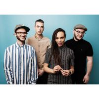 The Skints artist image