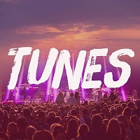 Tunes In The Park festival image