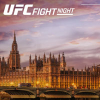 UFC artist image