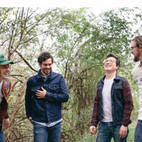White Denim artist image