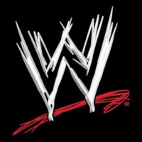 WWE Live artist image